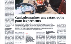 les pêcheurs aussi victime de la canicule