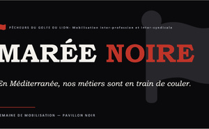 Article n°1243
