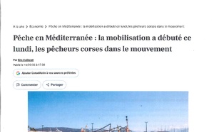 les pêcheurs corses dans le mouvement