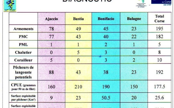 Diagnostic de la pêche Corse