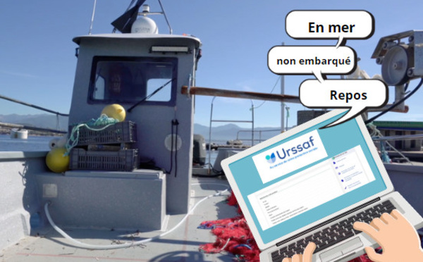 Déclarer ses embarquements ou ceux de ses marins
