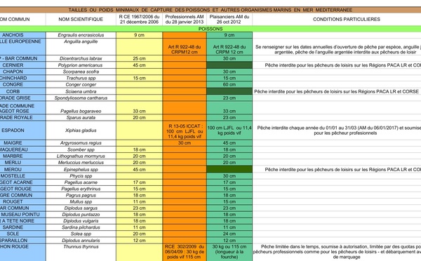 Tailles minimales de capture des poissons et autres organismes marins en mer Méditerranée