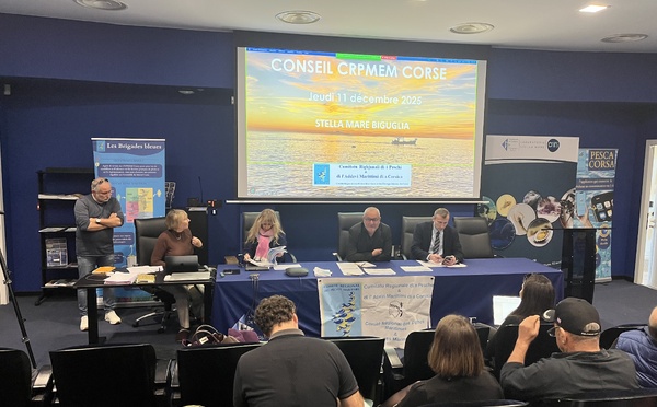 Dernier conseil de l'année 2025