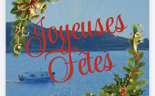 Meilleurs vœux 2026