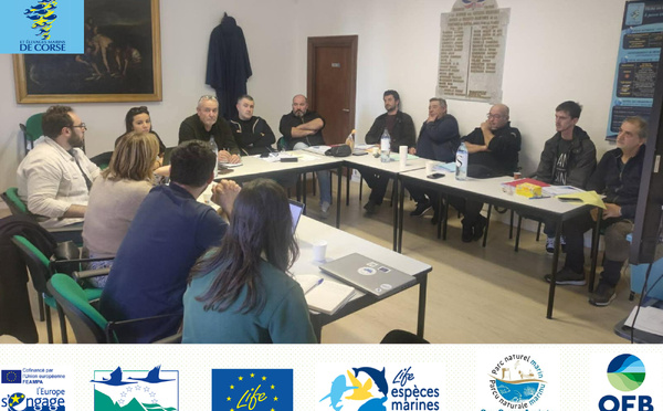 Réunion du 11/02/2026 pour le Life EMM et Convention pêcheurs partenaires