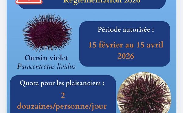 Ouverture de la saison Oursins 2026