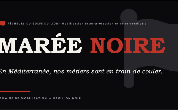 Article n°1243