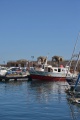 DSC_16484 DSC_16484