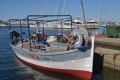 DSC_16544 DSC_16544