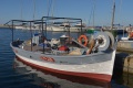 DSC_16555 DSC_16555