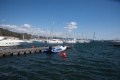 DSC_17151 DSC_17151