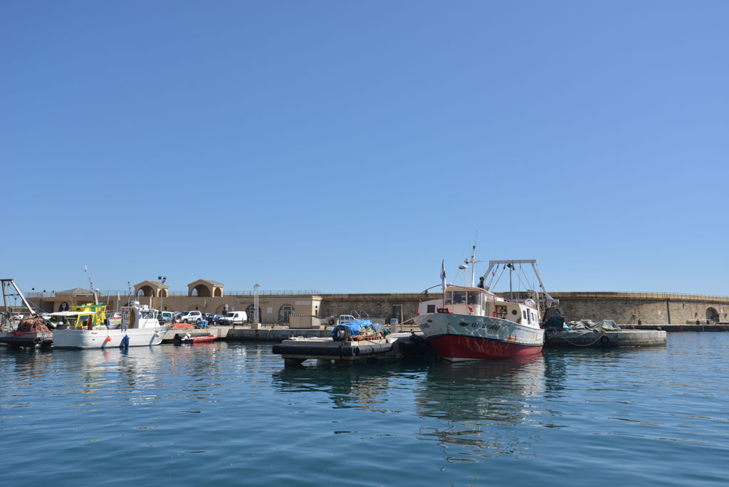 DSC_16486