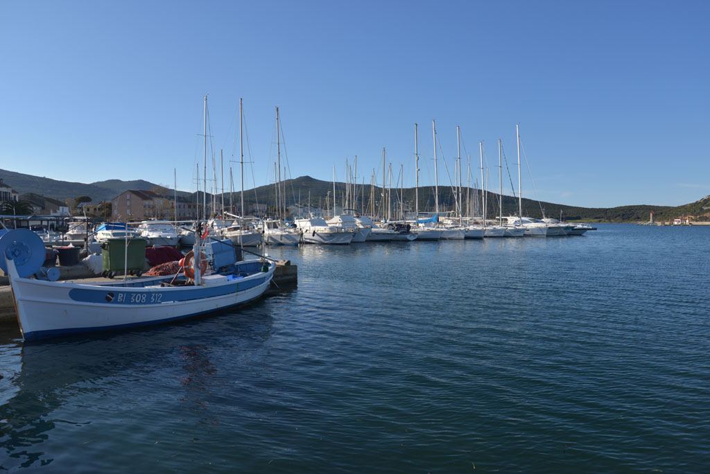 DSC_16558